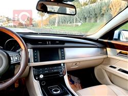 جاگوار XF